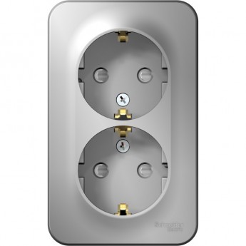 Розетка двойная SCHNEIDER ELECTRIC BLANCA с заземлением, со шторками, с изолирующей пластиной, 16А, 250В, алюминий